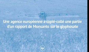 Une agence européenne a copié-collé une partie d'un rapport de Monsanto sur le glyphosate