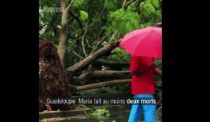 Ouragan Maria: deux morts et deux disparus en Guadeloupe