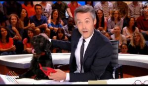 Emmanuel Macron : Yann Barthès amène un chien en plateau en clin d'œil (vidéo)