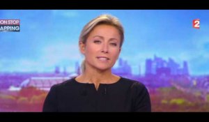 Anne-Sophie Lapix victime d'un énorme bug au JT de France 2 (vidéo)