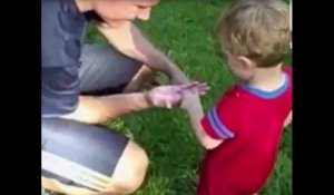 Un enfant découvre un vers de terre et le mange (vidéo)