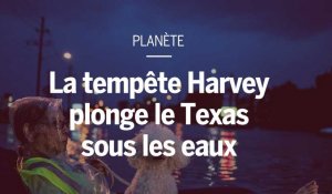 L'ouragan Harvey plonge le Texas sous les eaux