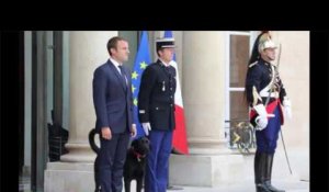 Emmanuel Macron se comporte comme "un gosse" selon l'Elysée