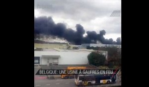 Belgique: une usine à gaufres ravagée par les flammes