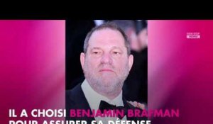 Harvey Weinstein choisit le même avocat que Dominique Strauss-Kahn pour sa défense