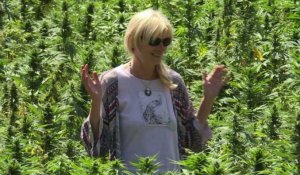 Au Maroc, les routes touristiques du cannabis