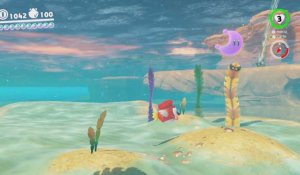 Super Mario Odyssey : Pays de la Mer - 19 - Confins septentrionaux de Pétillance