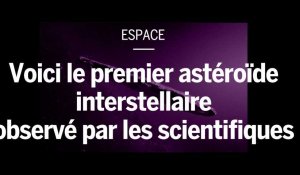 Pour la première fois, un asteroïde étranger à notre Système solaire est observé