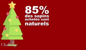Les chiffres du business du sapin de noël en France