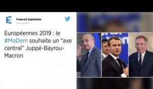 Européennes. Le Modem favorable à un "axe central" Macron-Bayrou-Juppé