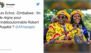 Zimbabwe. Qui est donc Robert Mugabe au pouvoir depuis 1980 ?