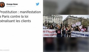Prostitution : manifestation à Paris contre la loi pénalisant les clients.