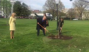 Donald Trump et Emmanuel Macron plantent un chêne à la Maison Blanche