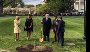 Emmanuel Macron et Donald Trump plantent un arbre à la Maison Blanche (vidéo)