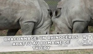Braconnage: Un rhinocéros abattu au zoo de Thoiry