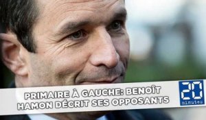 Primaire à gauche: Benoît Hamon décrit ses opposants