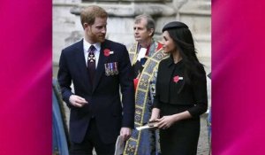 Meghan Markle : Son frère demande au prince Harry d'annuler leur mariage