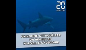 Un homme attaqué par un requin en Nouvelle-Calédonie