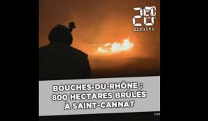 Bouches-du-Rhône : 800 hectares brûlés à Saint-Cannat