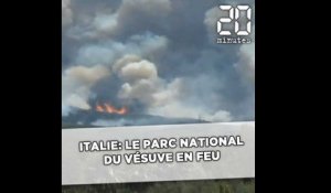 Italie: Le parc national du Vésuve en feu