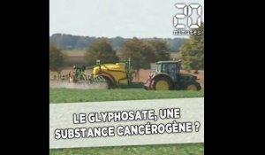 Le glyphosate, une substance cancérogène ?