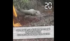 Sri Lanka: Un éléphant tombé dans un puits est sauvé par des villageois