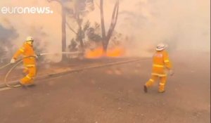 Incendie de forêt en banlieue de Sydney