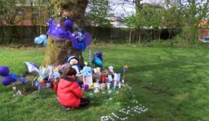 GB: hommage au bébé Alfie Evans mort samedi