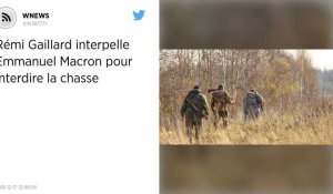 Rémi Gaillard interpelle Emmanuel Macron pour interdire la chasse