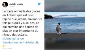 La fonte de l'Antarctique est six fois plus rapide qu'il y a 40 ans