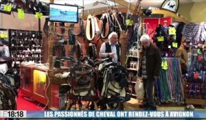 Les fans d'équitation ont rendez-vous à Avignon pour Cheval Passion