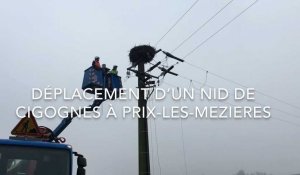 Déplacement d'un nid de cigognes à Prix-lès-Mézières