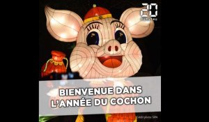 Nouvel an chinois: Bienvenue dans l'année du cochon