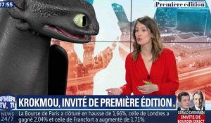 Krokmou, le héros de dragon sur le plateau de BFM TV - ZAPPING TÉLÉ DU 07/02/2019