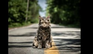 Pet Sematary: Official Trailer HD VO st FR/NL