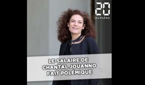 La rémunération de l'ex-ministre, Chantal Jouanno, en charge du «grand débat national», fait polémique