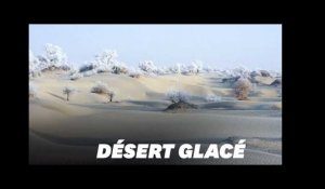 Le givre transforme ce désert chinois en un paysage féerique