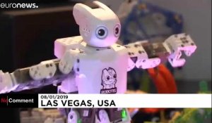 Les robots font le show au CES de Las Vegas