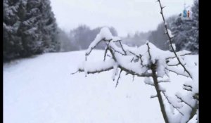 Chutes de neige à Roy (Marche-en-Famenne)