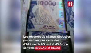 Le franc CFA instrumentalisé dans la brouille franco-italienne