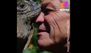 Ce Français héberge des centaines de reptiles