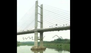 245 personnes ont sauté d'un pont en même temps