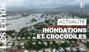 Inondations en Australie : des crocodiles en ville