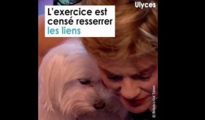 On peut faire du yoga avec son chien