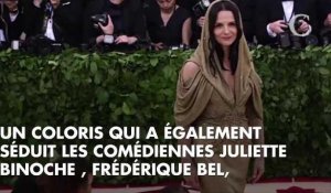 PHOTOS. Globes de Cristal 2019 : Salma Hayek, Alexandra Lamy, Juliette Binoche... un tapis rouge de stars très élégantes