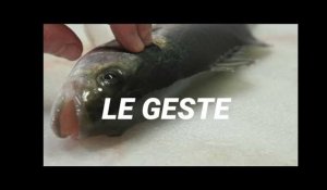 Le poisson ikejime, la technique ancestrale venue du japon s'invite à toutes les tables