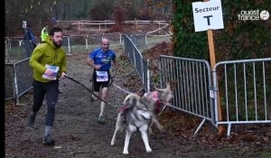 Sport. Cani-cross, pour le plaisir de courir avec son chien, au Mans