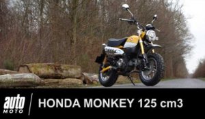 Honda MONKEY 125 Essai POV Auto-Moto.com