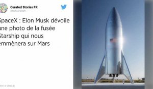 À quoi ressemble SpaceX Starship, la fusée qui emmènera des touristes dans l'espace ?