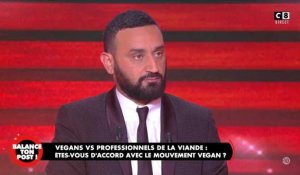 VIDEO. Cyril Hanouna attaqué dans Balance ton post : la sécurité intervient pour arrêtée une militante vegan